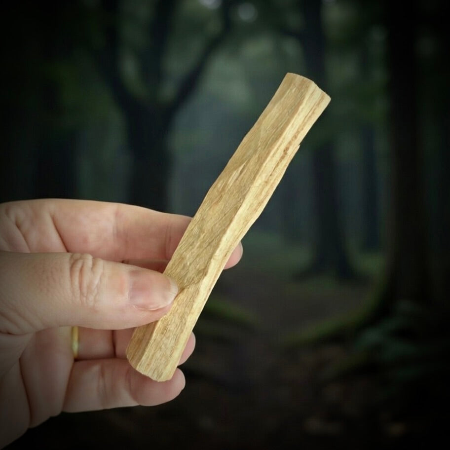Hand holding a palo santo stick with a blurred forest background